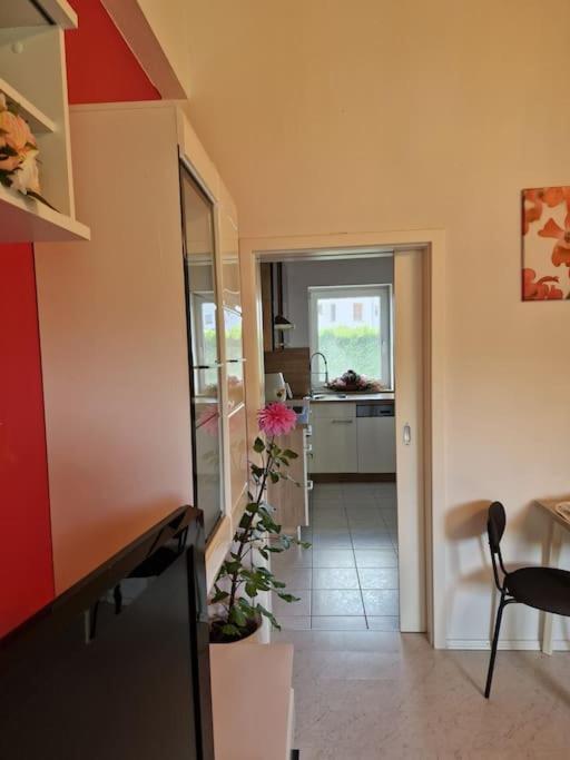 Ferienwohnung Bayernbrise Rohrdorf (Bavaria) Exterior foto